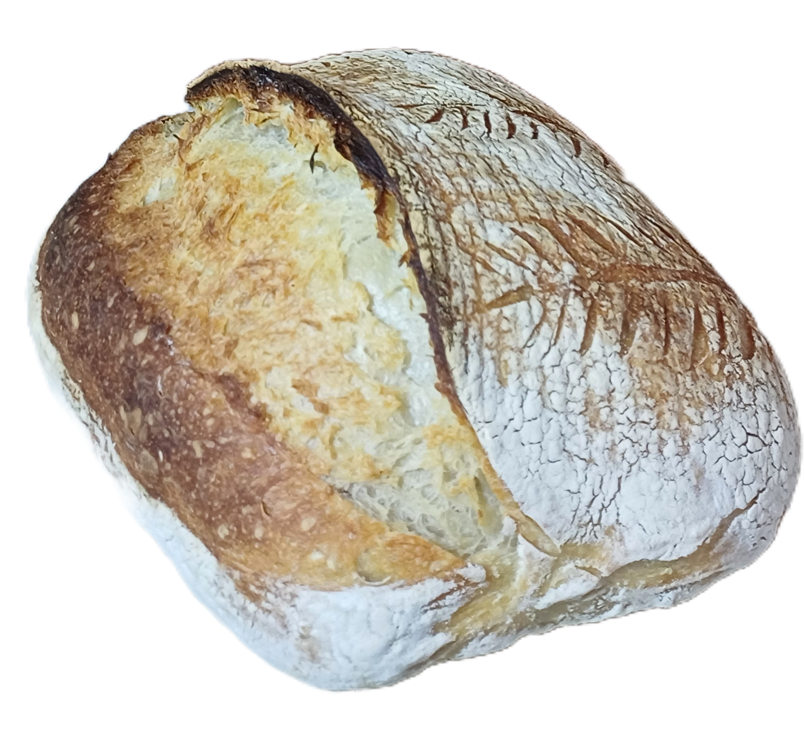 Batard