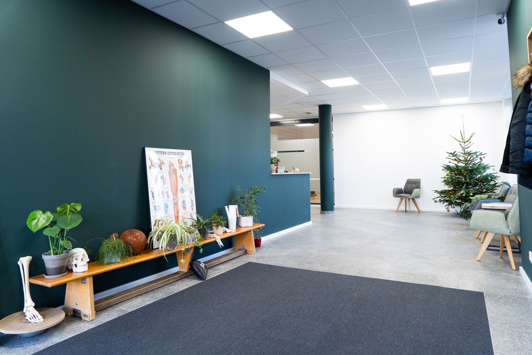 Innenaufnahme eines Wartezimmers mit Weihnachtsbaum, Stühlen und einer Bank mit Pflanzen, Skelettmodell und medizinischem Poster an der dunkelgrünen Wand.