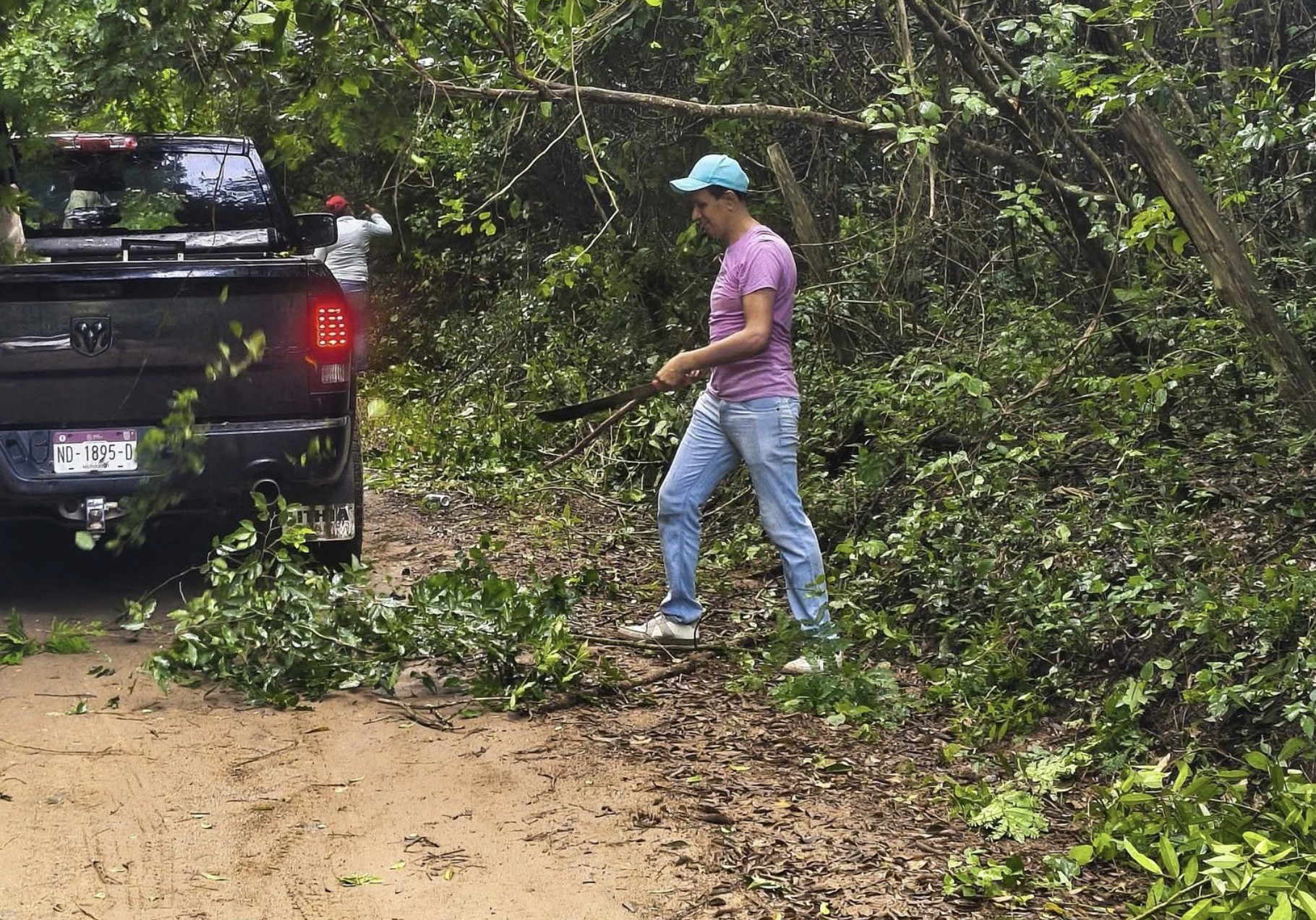 A volunteer in a pink shirt and blue cap swinging a machete at branches beside a pickup truck