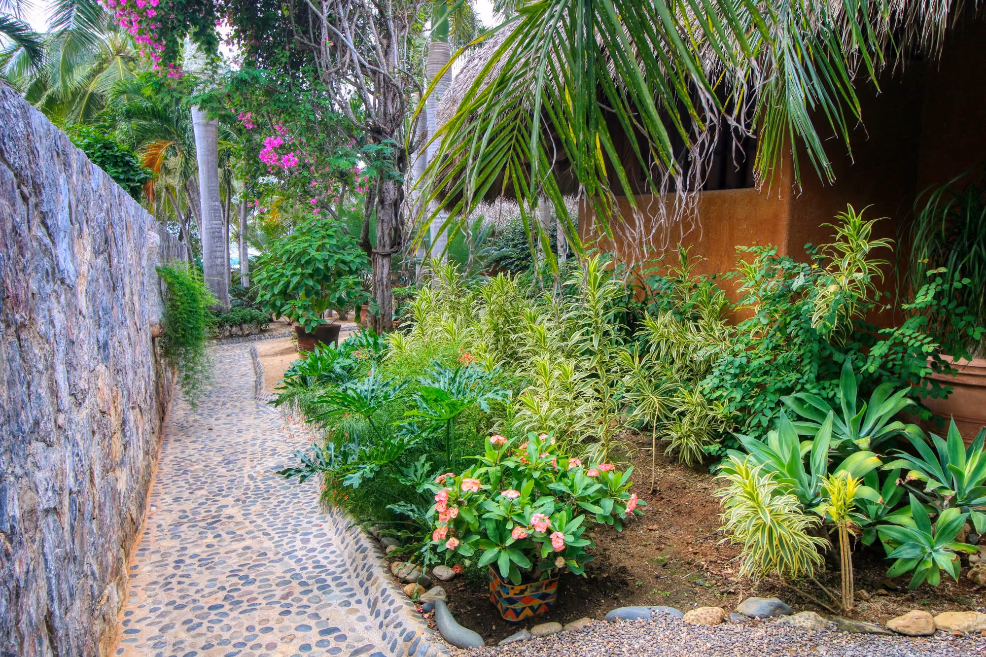 Garden path along a stone wall at Villa Armonia