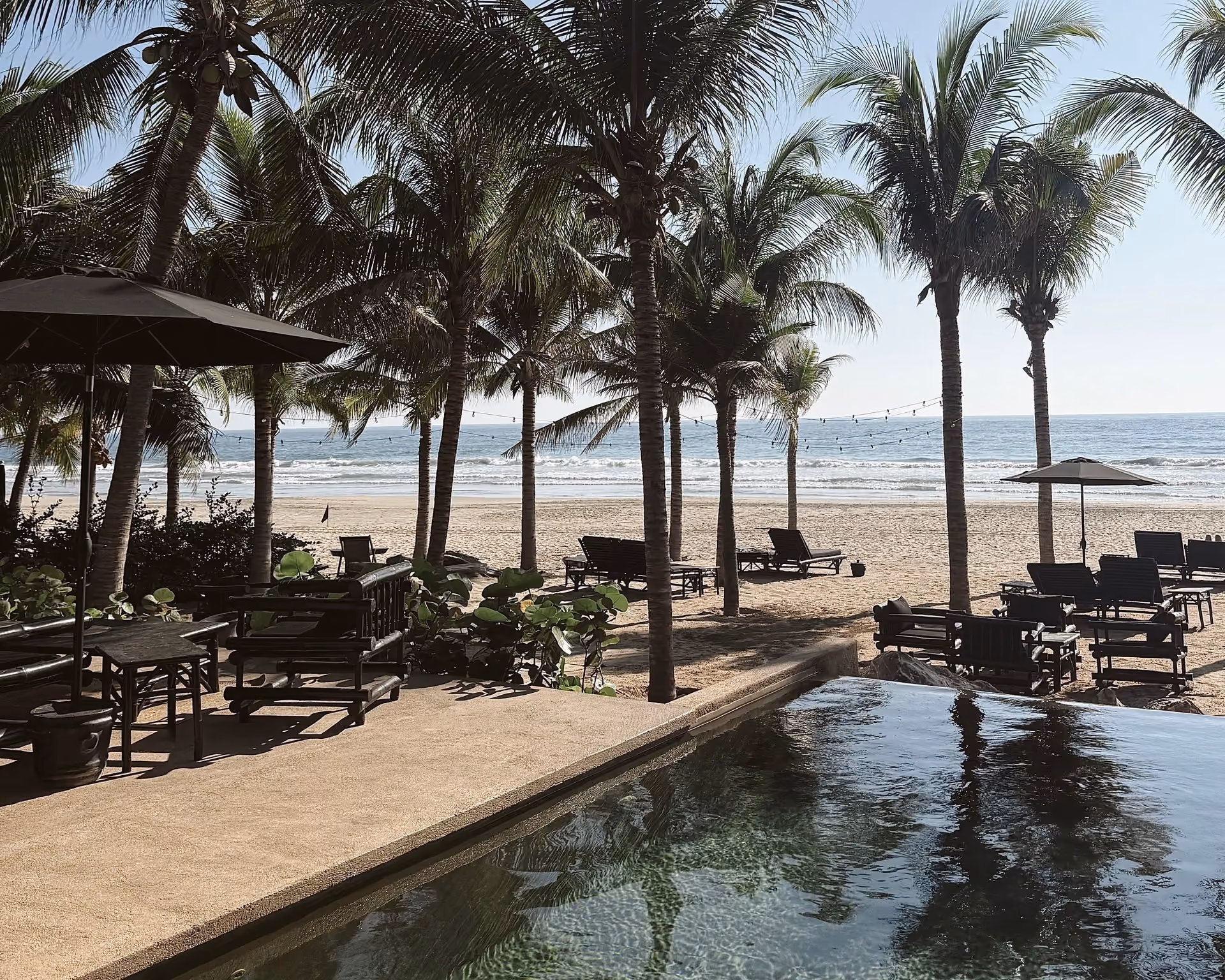Pool surrounded by palm trees leading to the beach at Casa Saint George