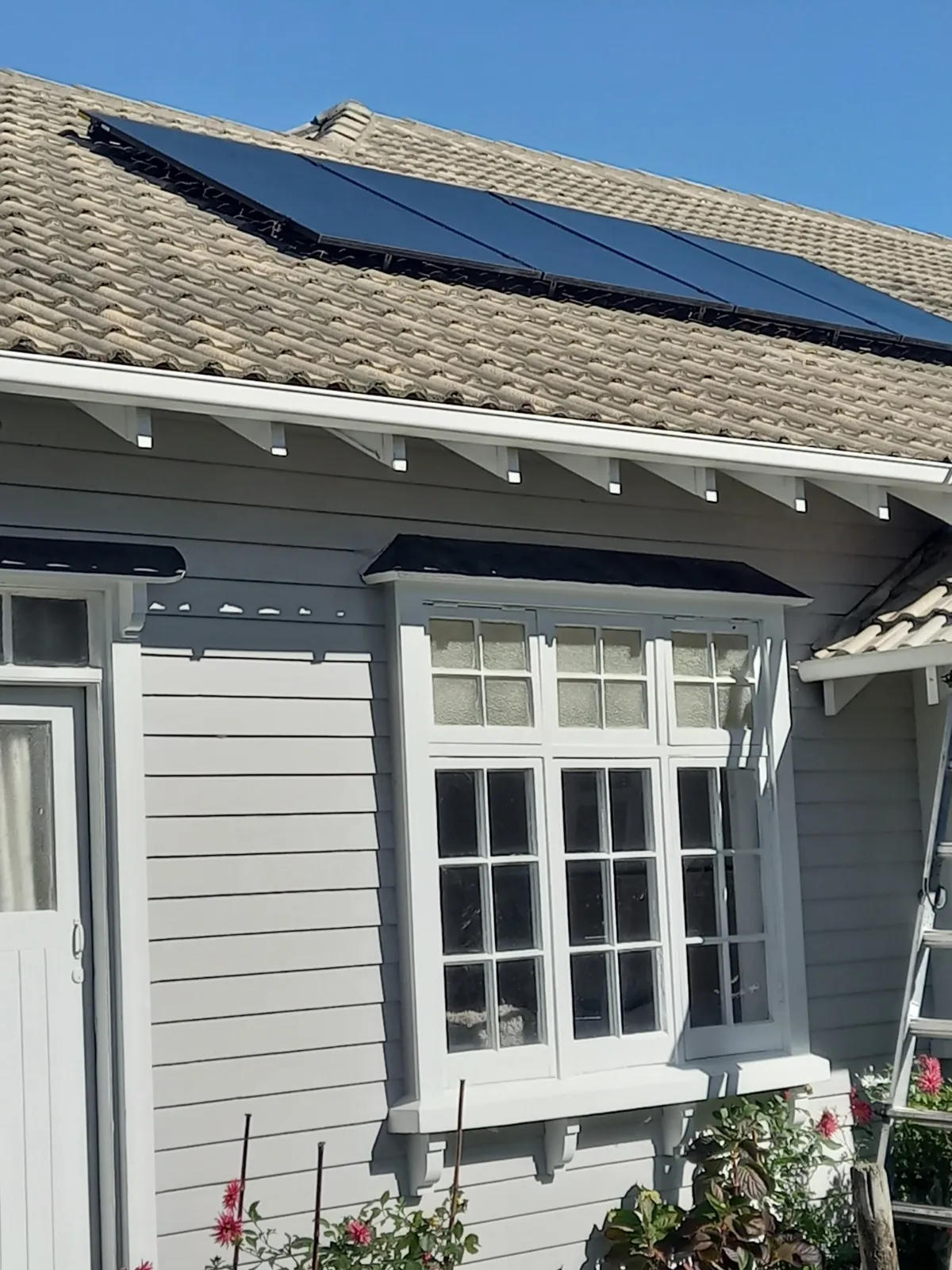 House exterior with white-framed window, beige tiled roof with solar panels, and garden flowers.