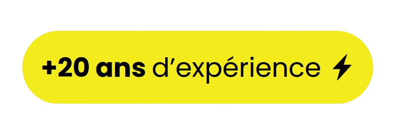 badge 20 ans d'expérience