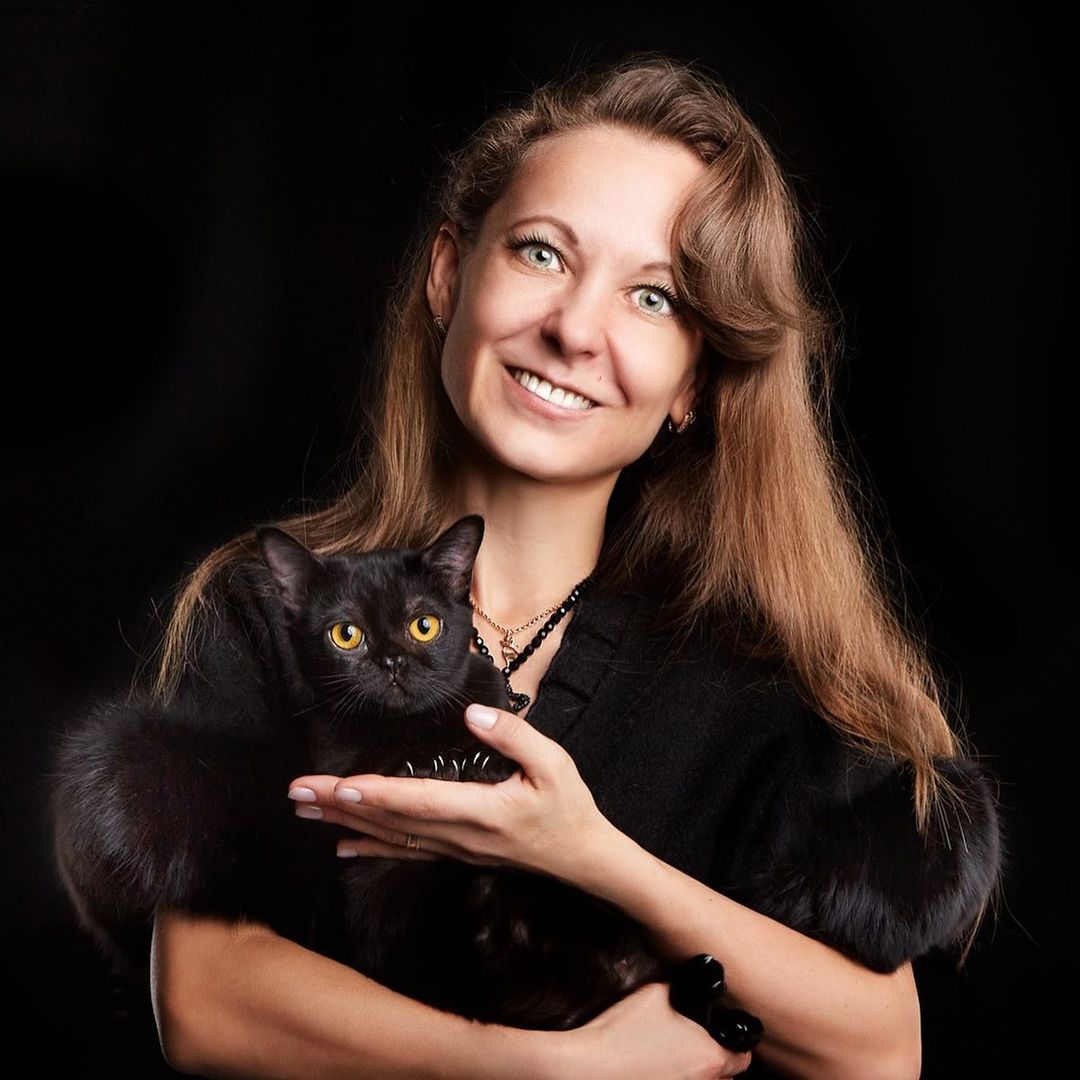 Bombay  cats
