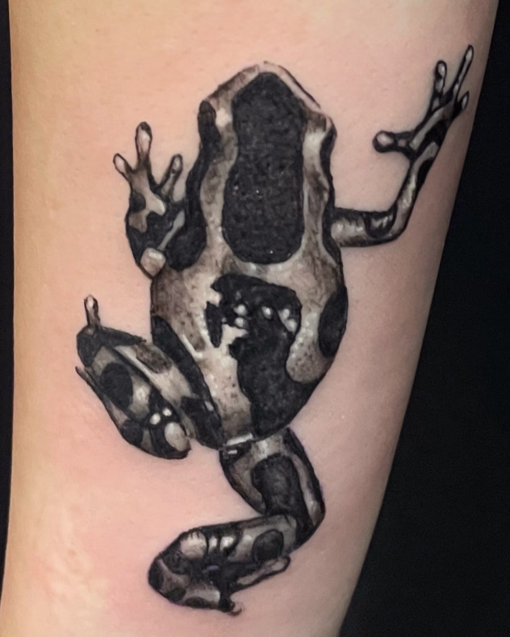 Tattoo of a black and gray frog with detailed shading on skin.