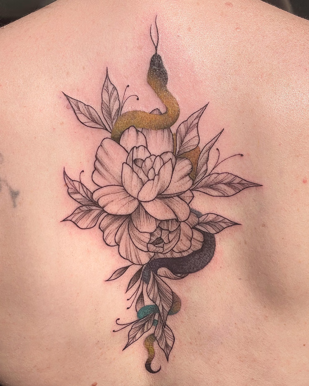 Tattoo of a partially colored snake weaving through a detailed black and gray flower with leaves on upper back skin.