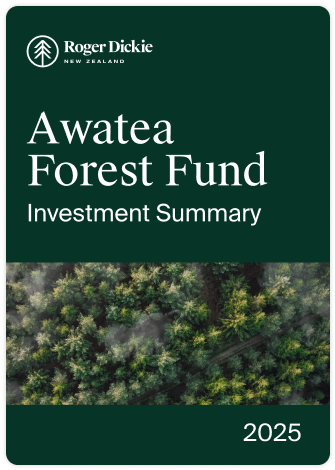 Investment summary cover