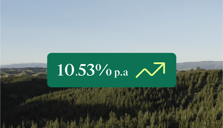 Growth graph and forest