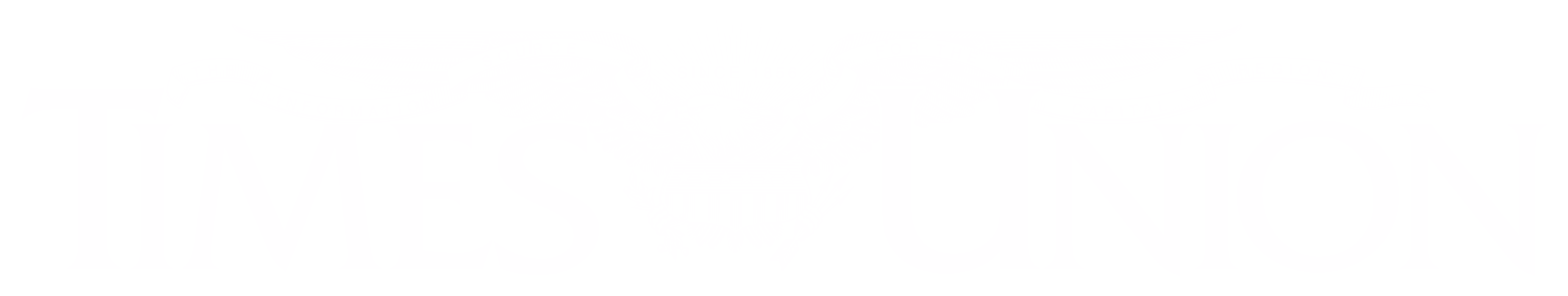 Albany Times Union logo