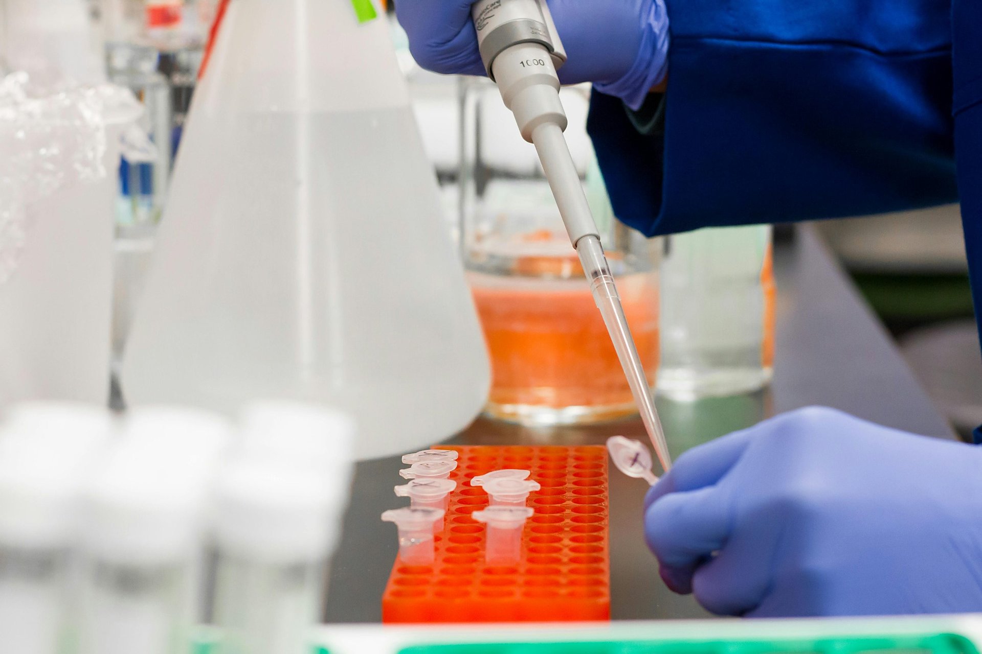 Gloved researcher using a micropipette to fill sample tubes in an orange rack at a laboratory bench