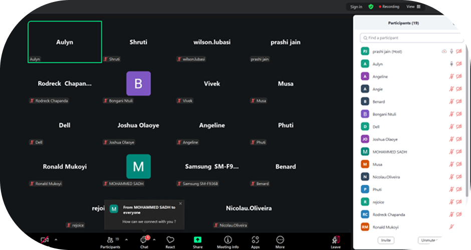 Zoom video call gallery view showing 19 participants mostly muted with names displayed and chat message saying 'How can we connect with you?'