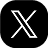 x logo