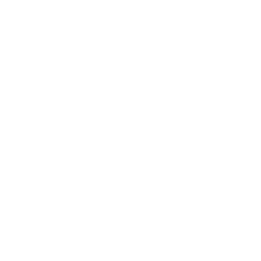 Stacey Soans - Behance Logo