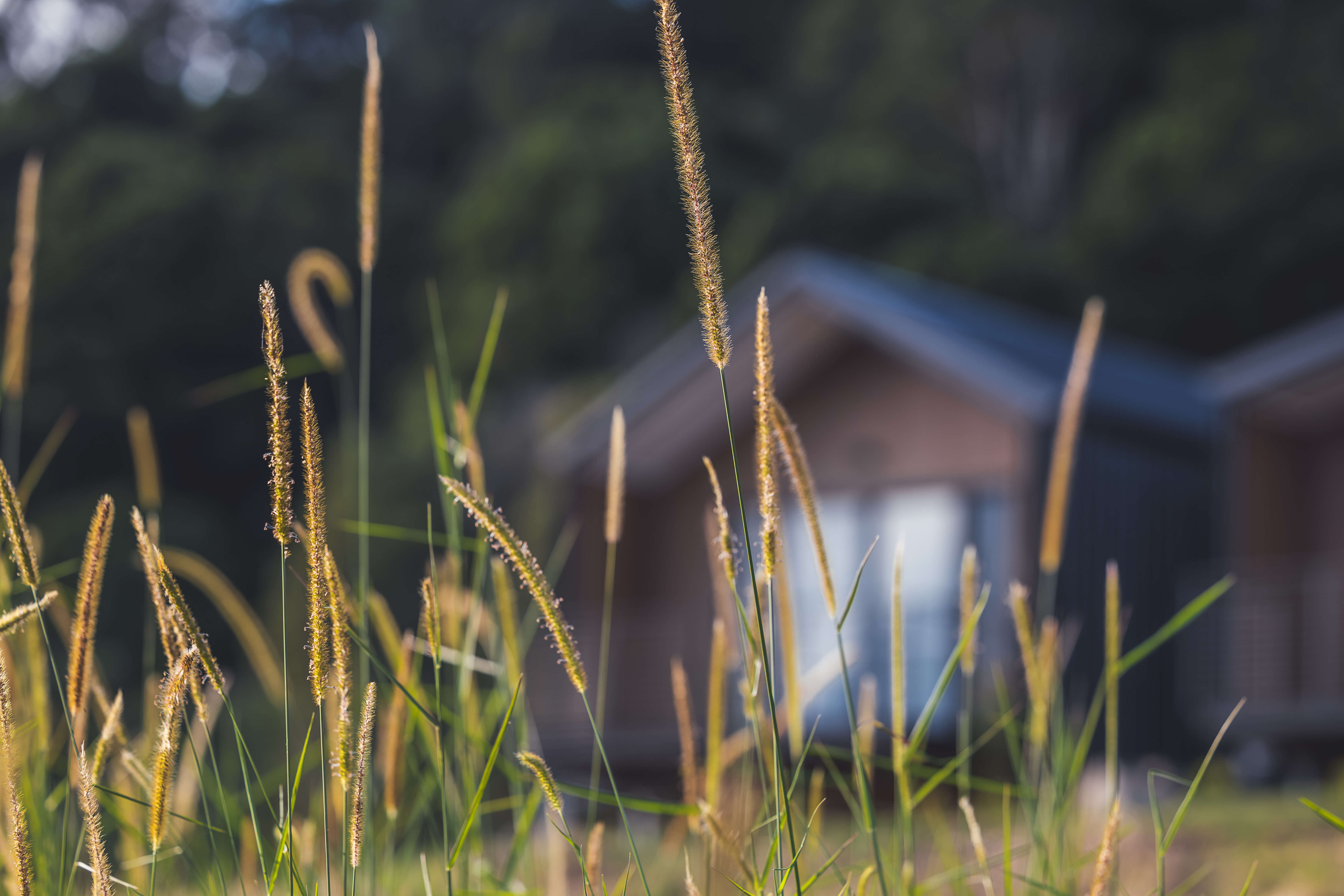 The Ecoview retreat setting in the Gold Coast hinterland