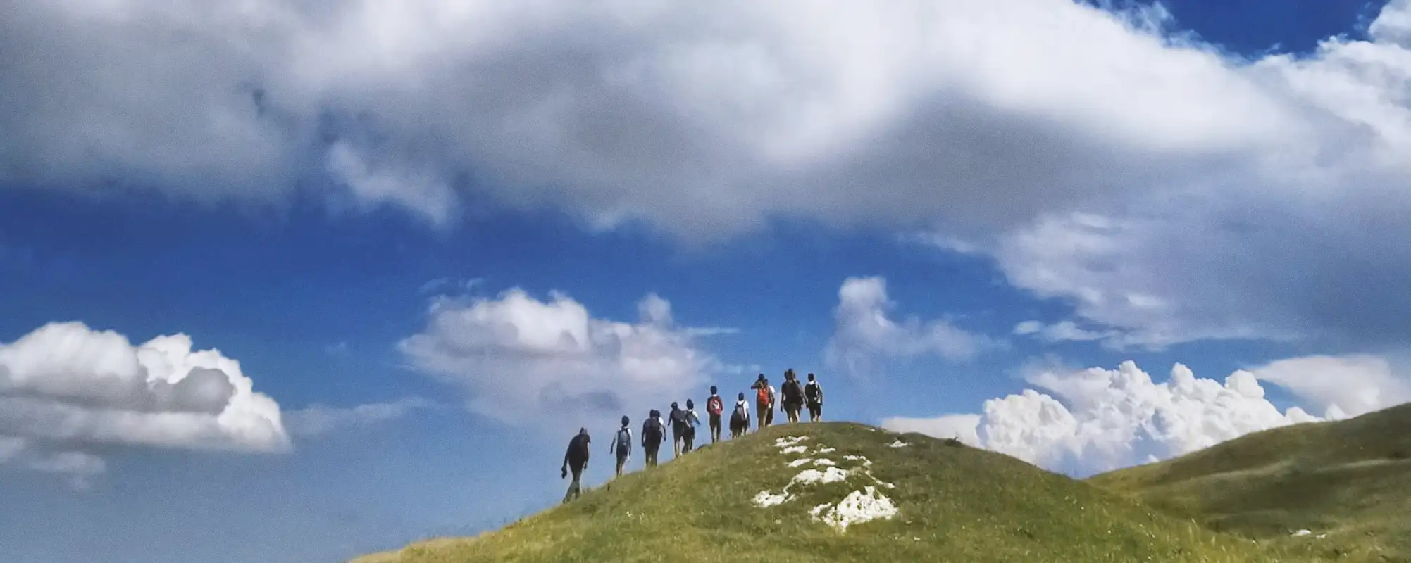 Chiocciola la casa del nomade