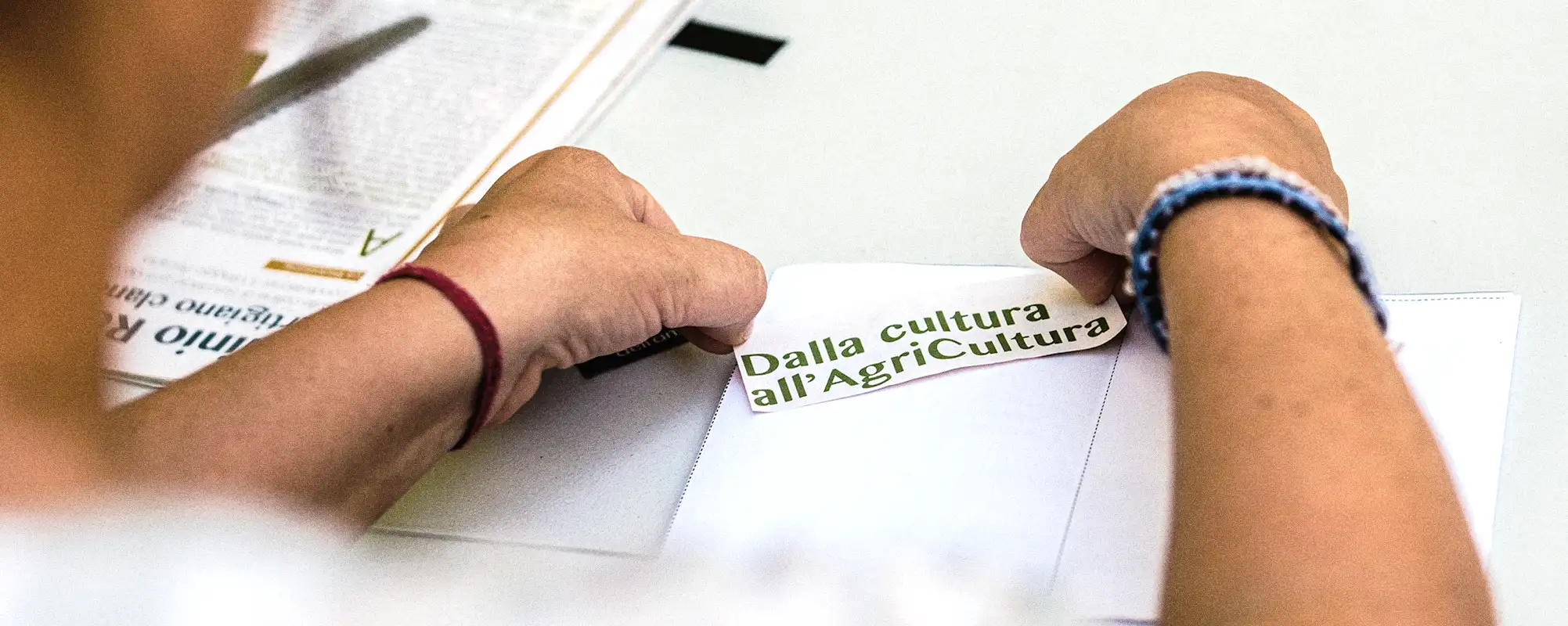 Chiocciola la casa del nomade