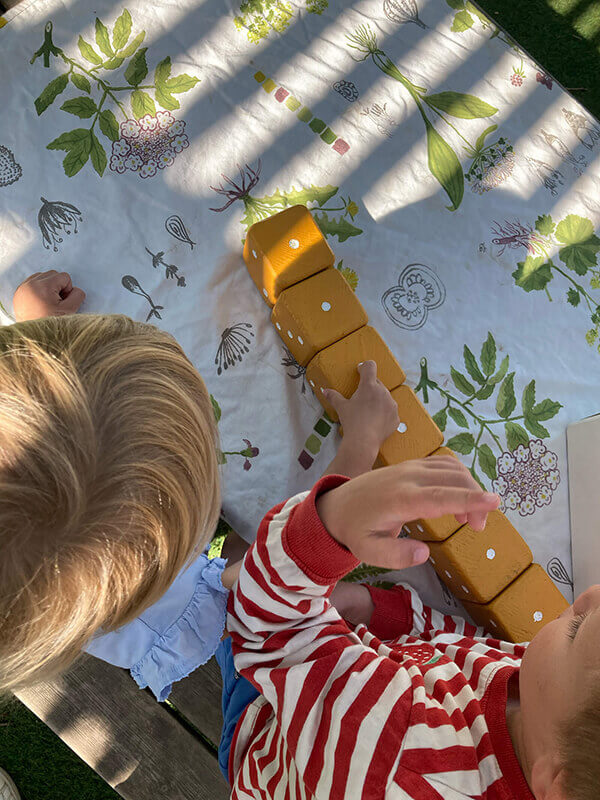 Pedagogik på Förskolan Blomman