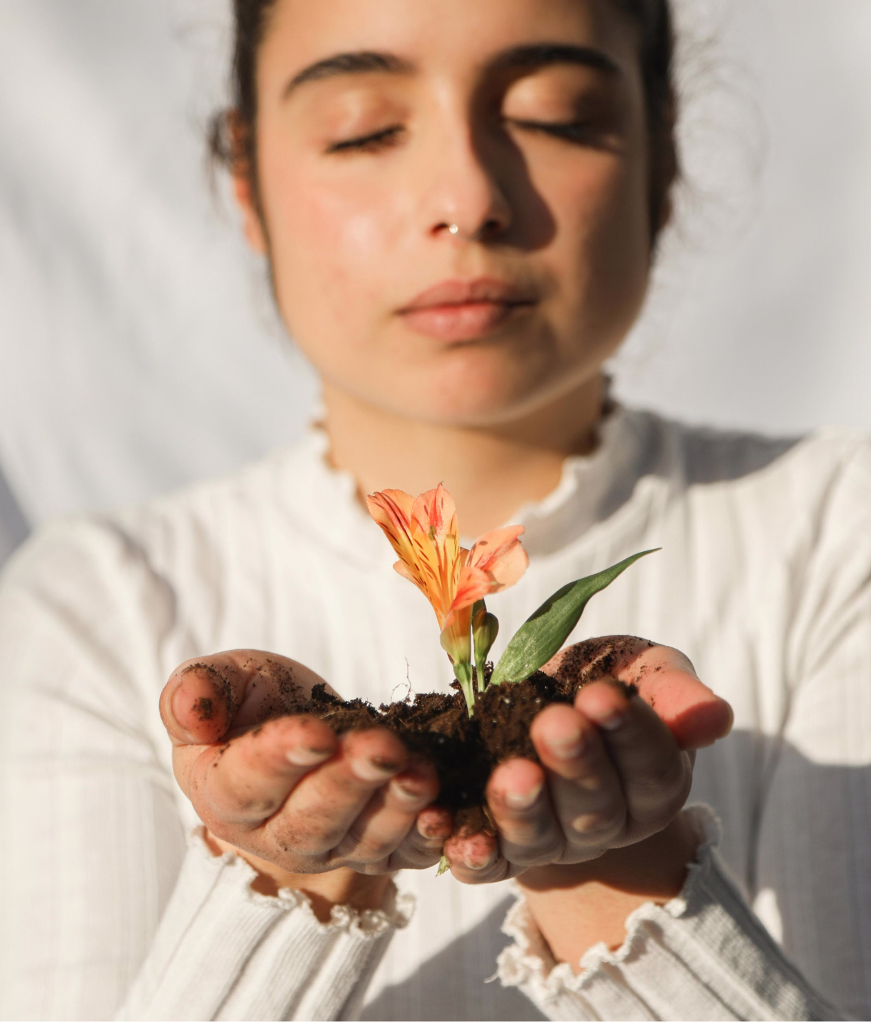 pulseon home two welness image