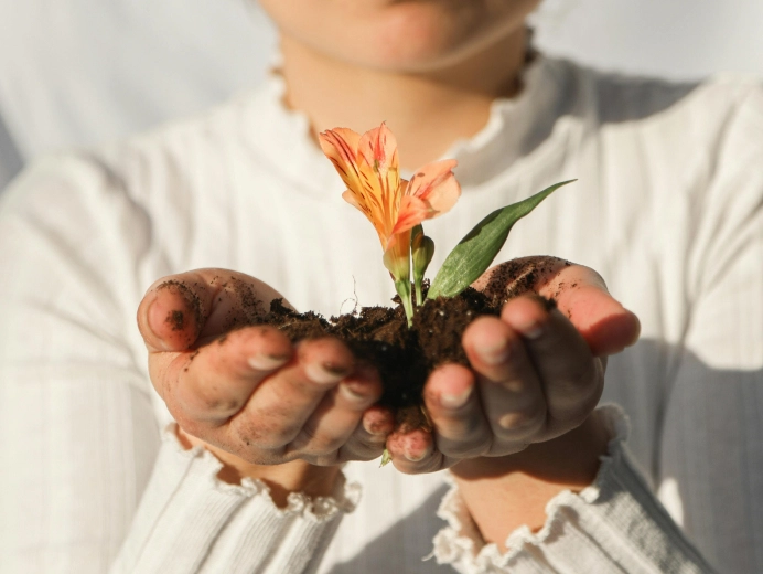 pulseon home two wellness image