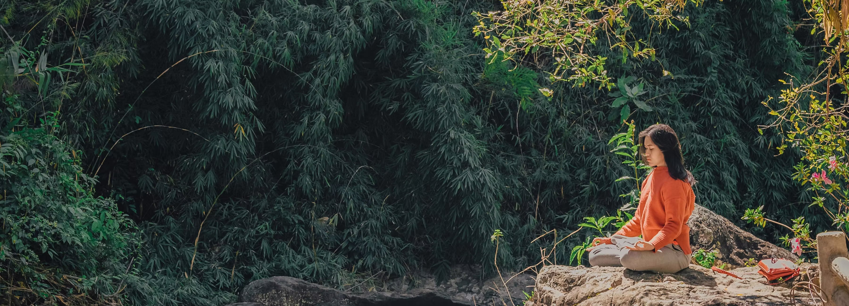 pulseon service two banner image