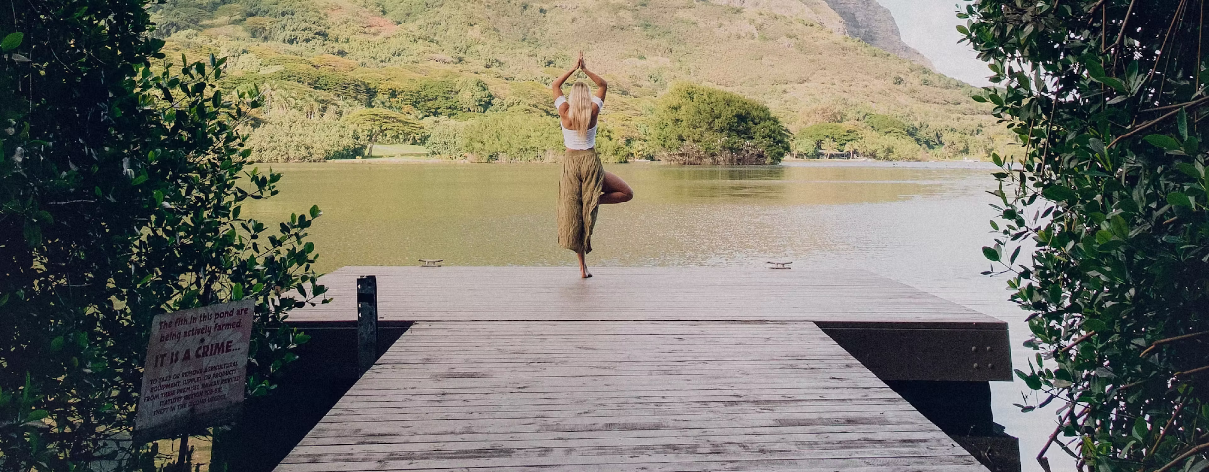 pulseon team banner image