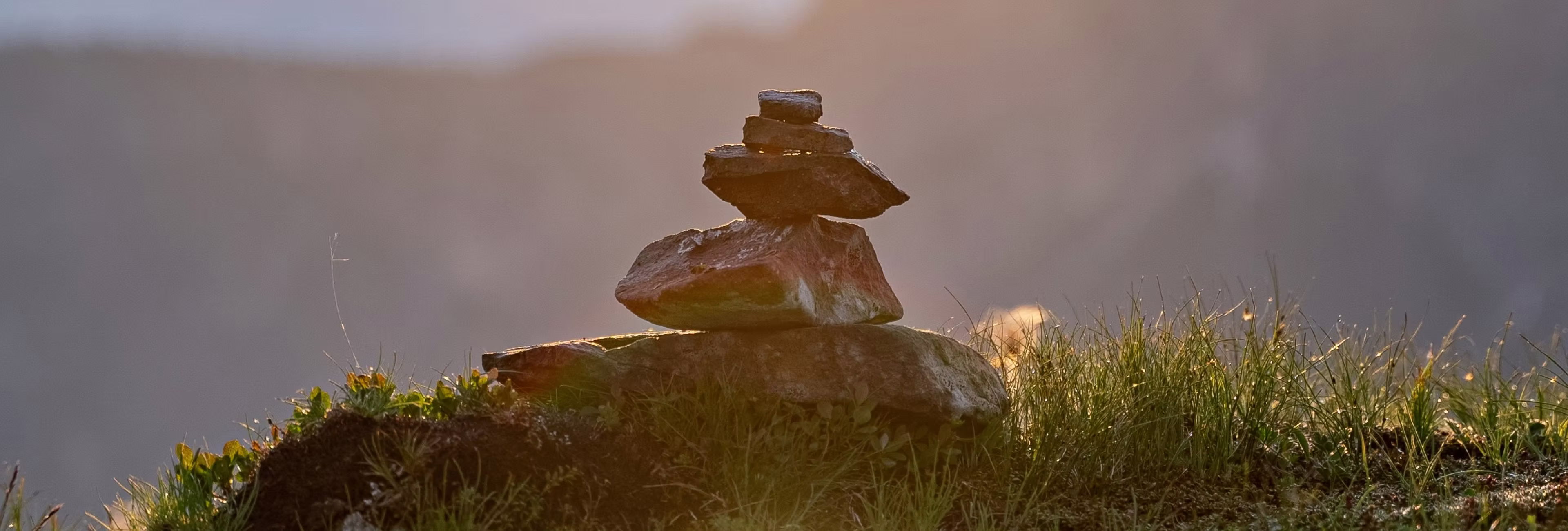 pulseon blog three banner image