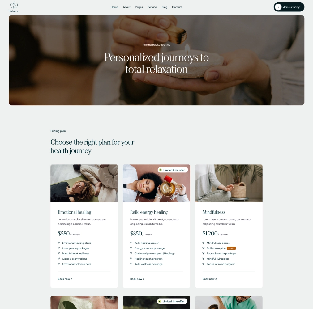 pulseon landing price two image