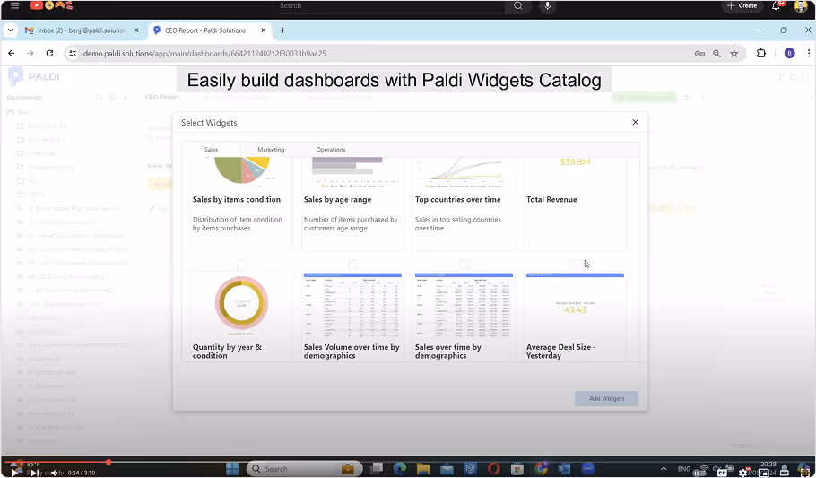 screenshot of PALDI Report manager