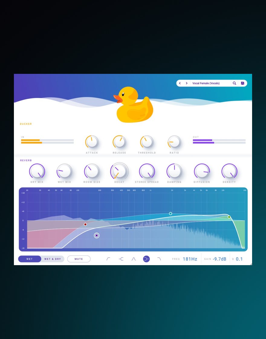 software development