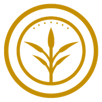 Logo Kernfokus Studio - Zentrum für bewusste Entwicklung