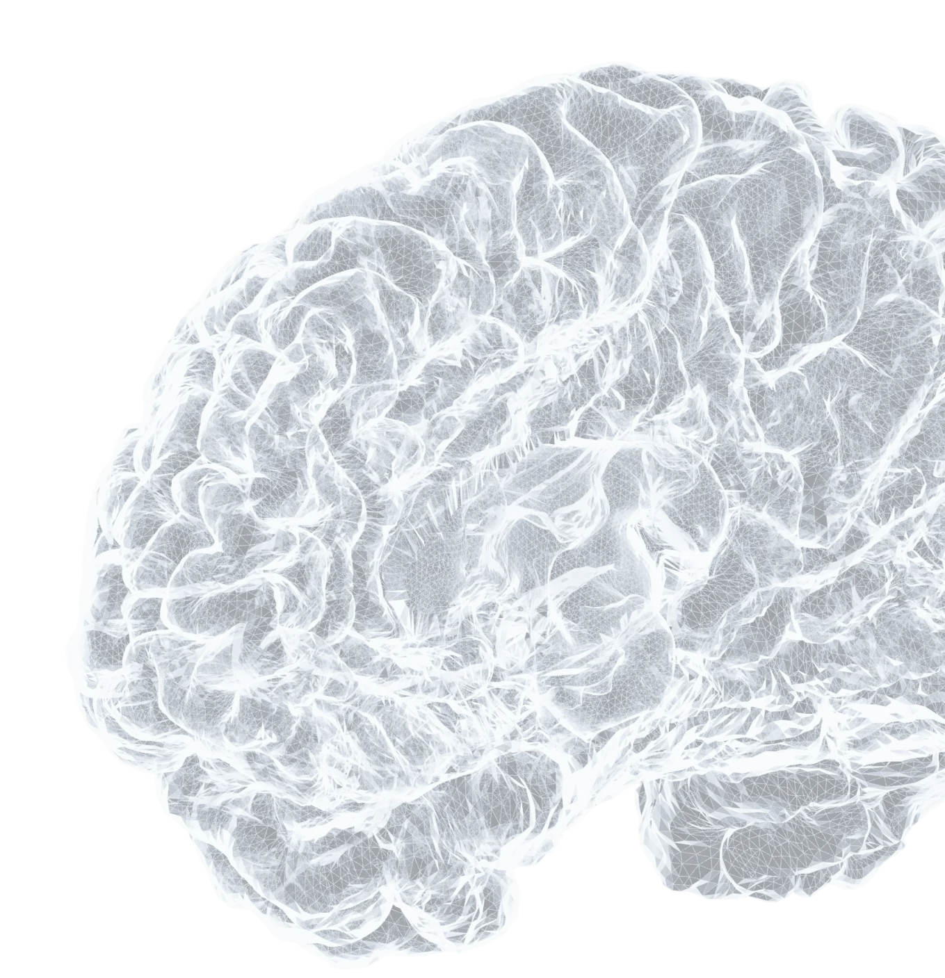 A transparent image of a brain