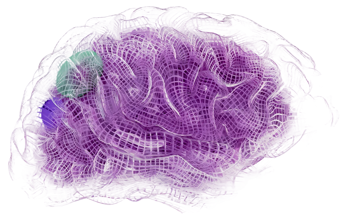 Image of brain made out of mesh threads in pinkish color