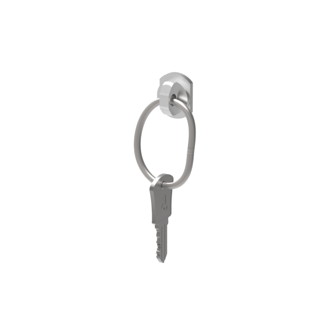 Key Control Tag