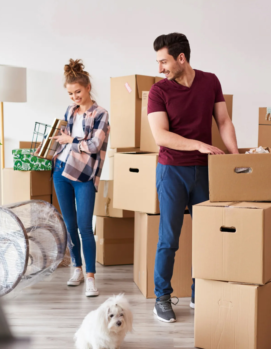 habiter RP valorissimo