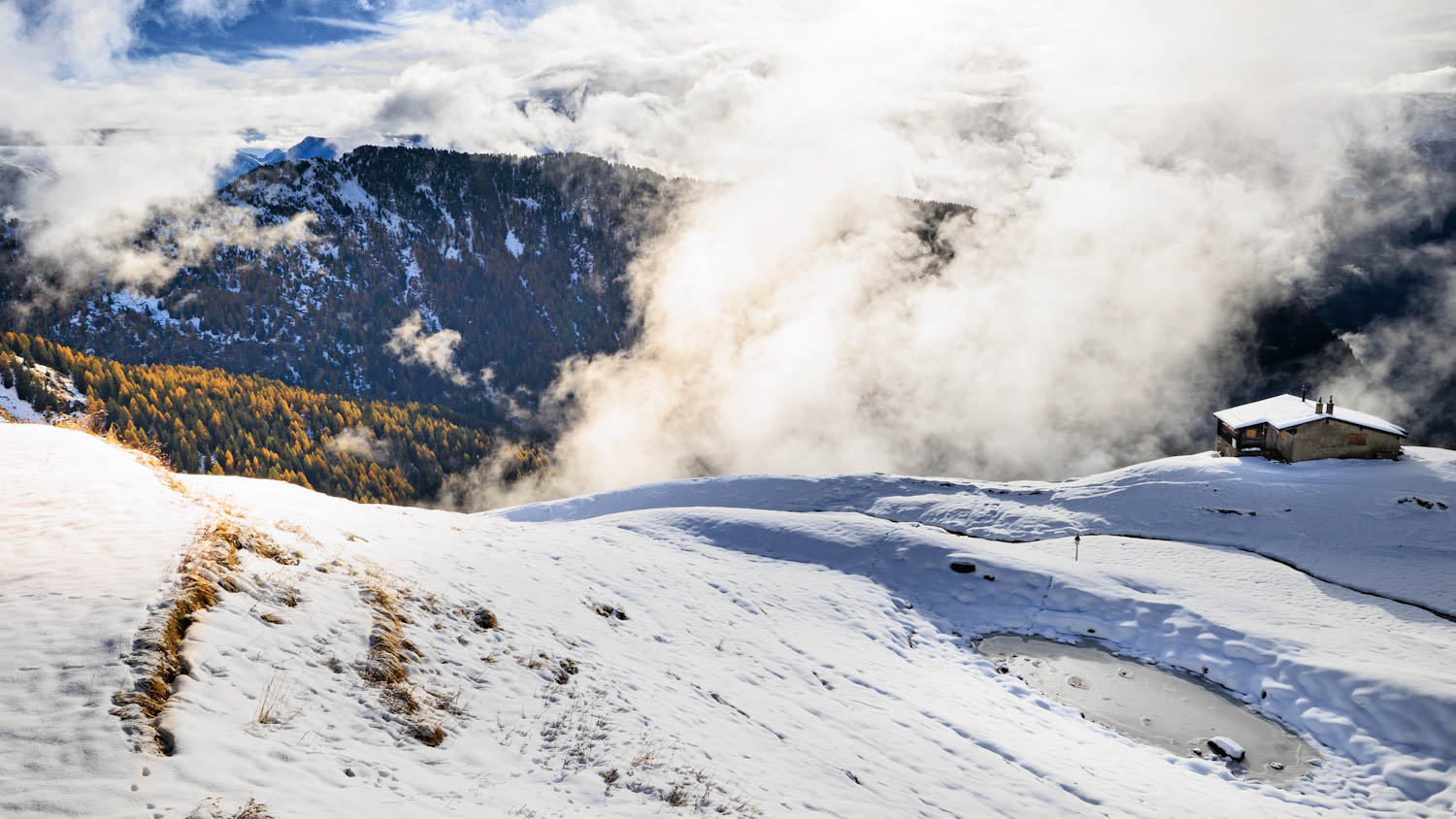 Schnee auf der Alp mit goldenen Lärchen und Nebel