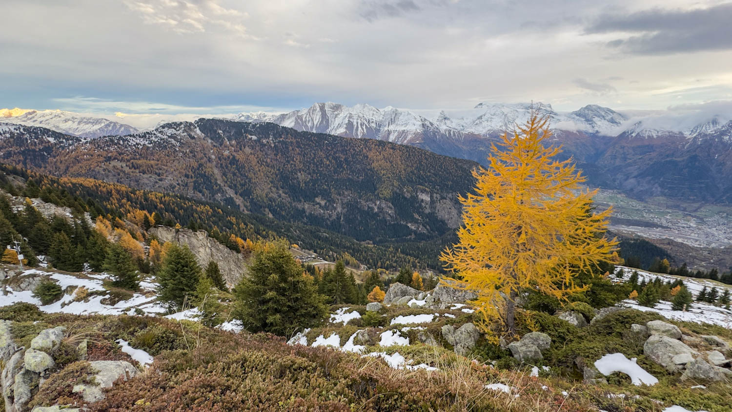 Bick ins Rhonetal mit gelber Lärche