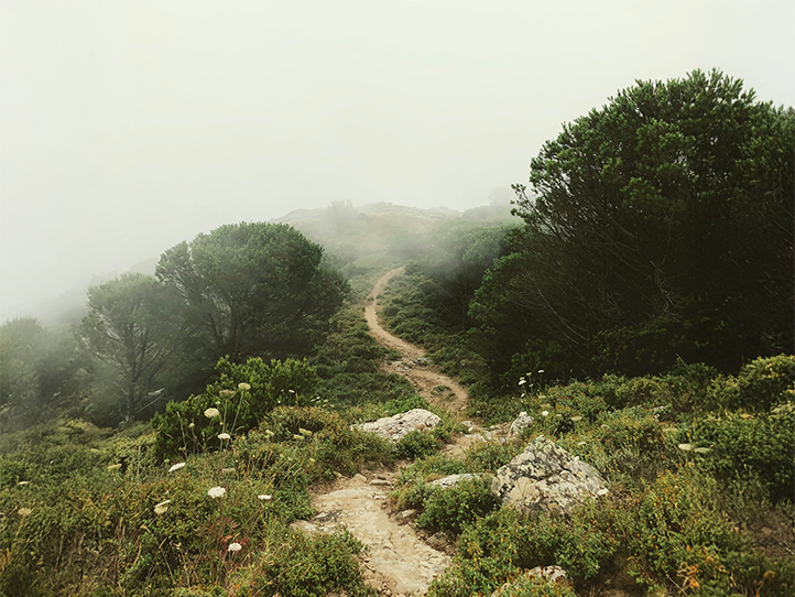 image of a happy customer