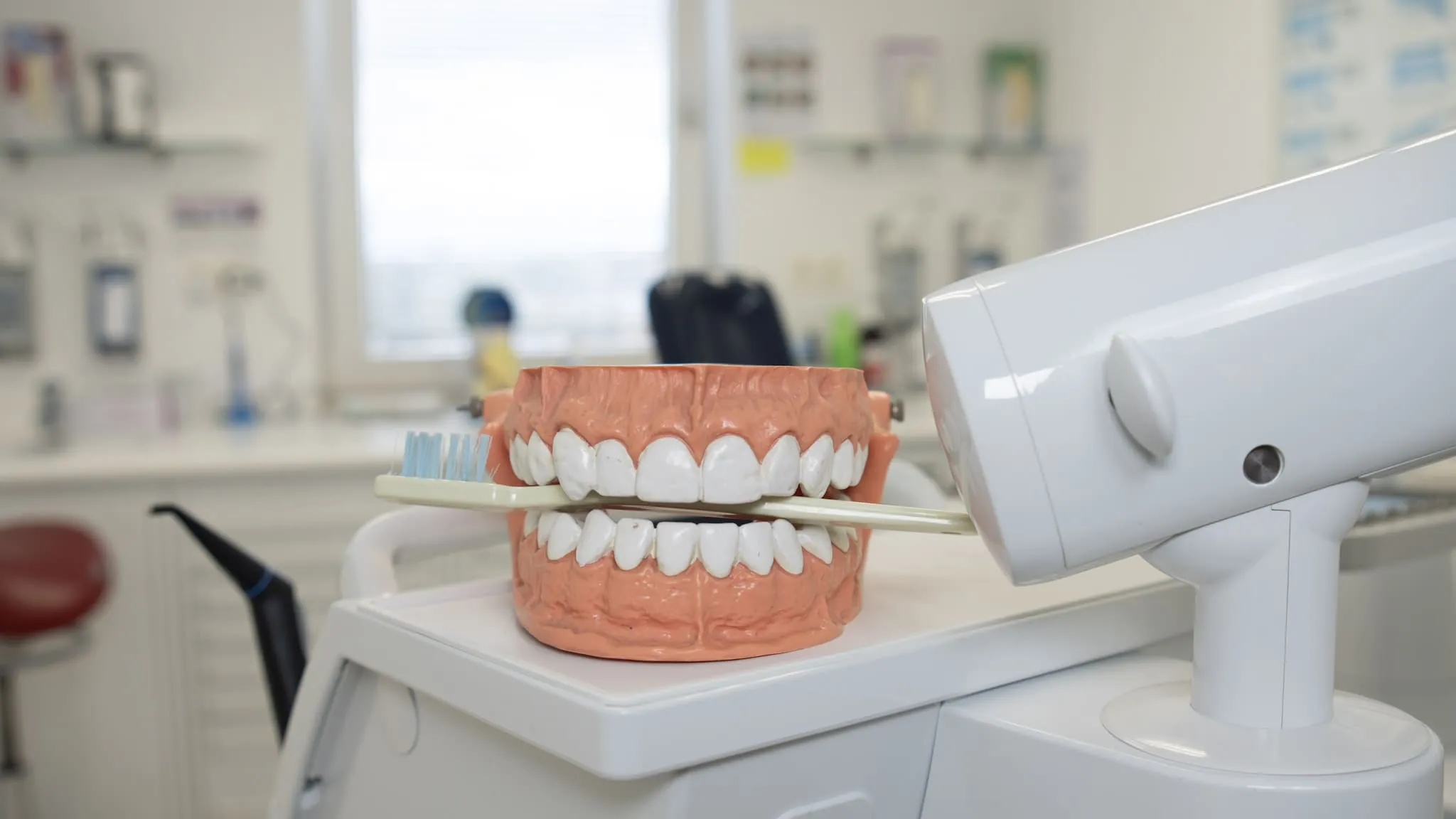 Großes Zahnmodell mit Zahnbürste zur Demonstration der richtigen Zahnputztechnik.