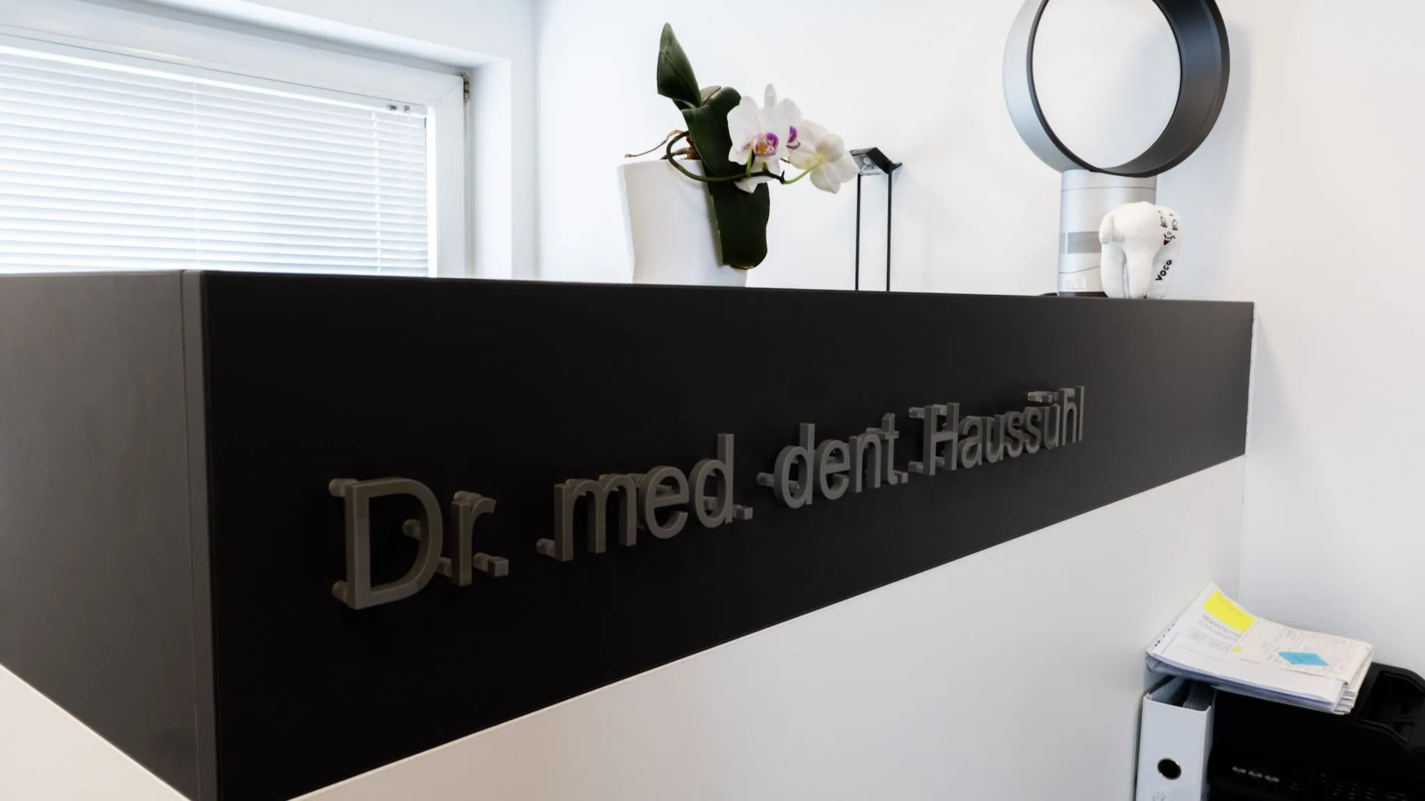 Empfangsbereich der Zahnarztpraxis Dr. Haussühl mit moderner Einrichtung und Orchidee.