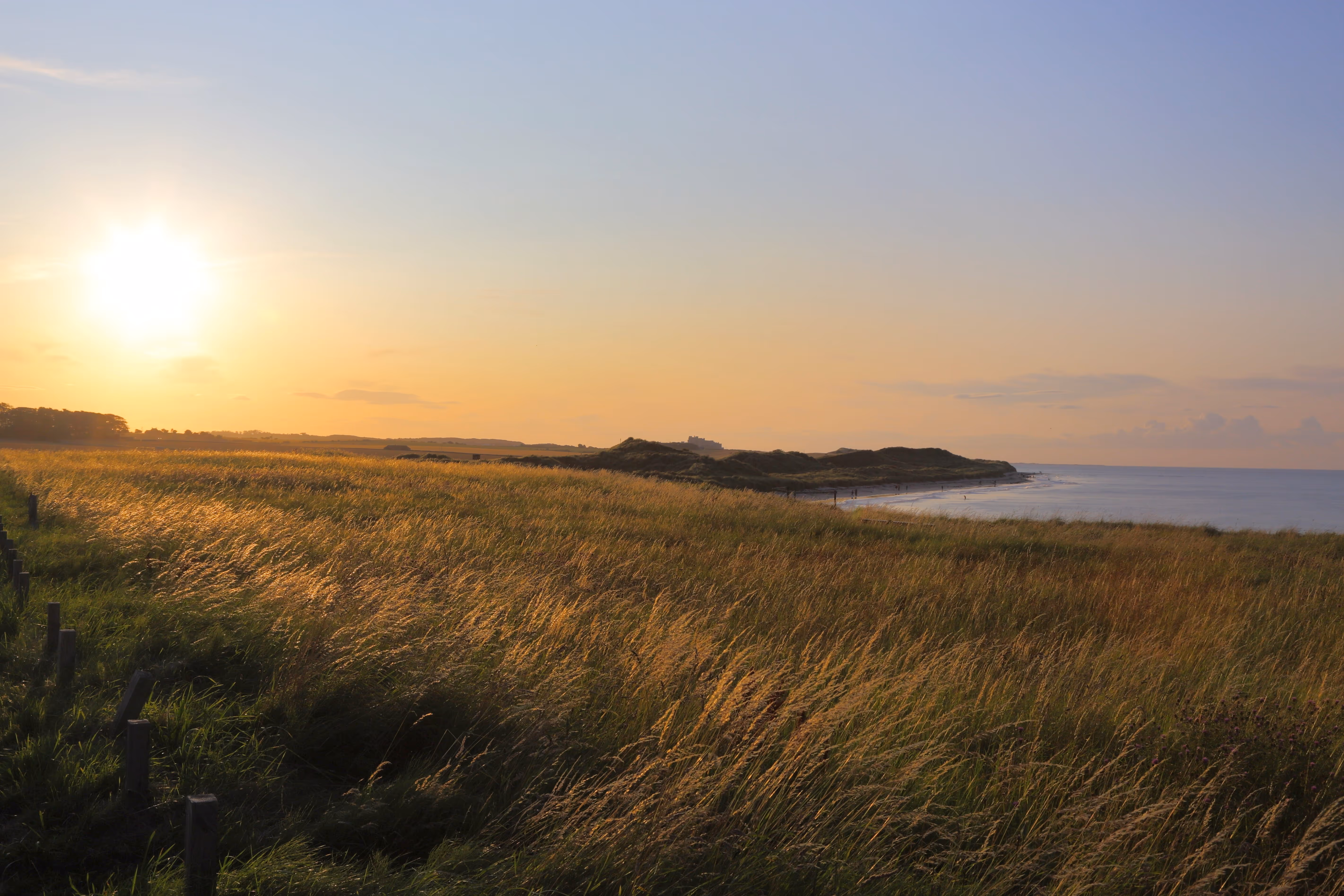 An after comparison photo of grass and a coastline showing the image after colour correction. 