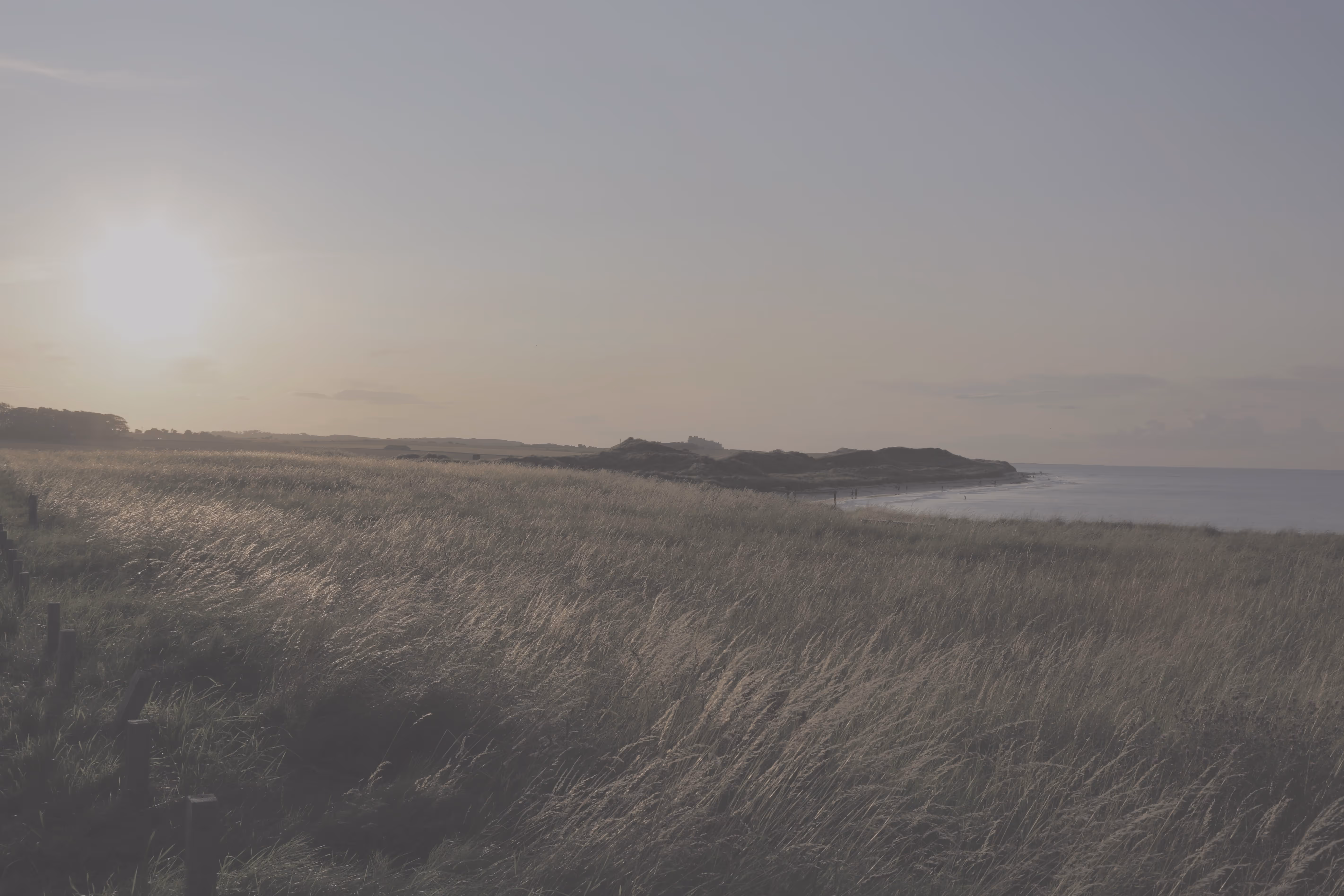 A before comparison photo of grass and a coastline showing the image before colour correction. 
