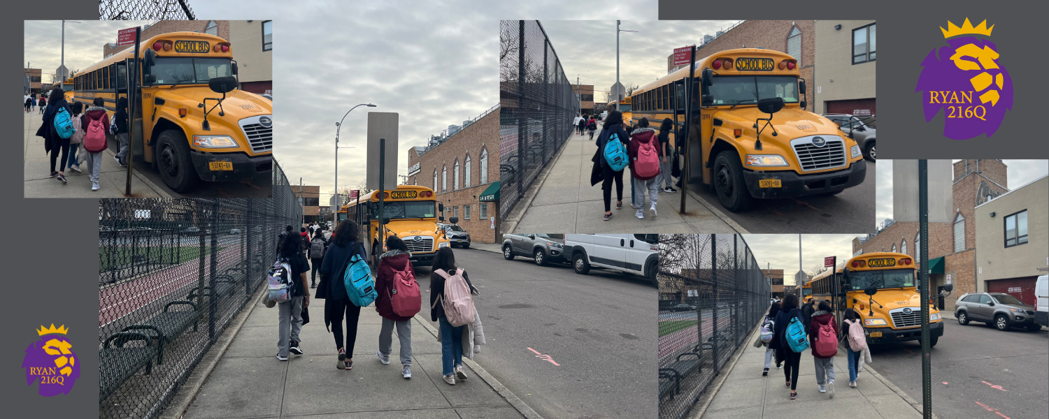 bus image