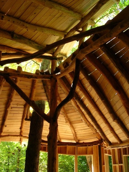 Everybody’s Treehouse, Mt. Airy Forest, Cincinnati.