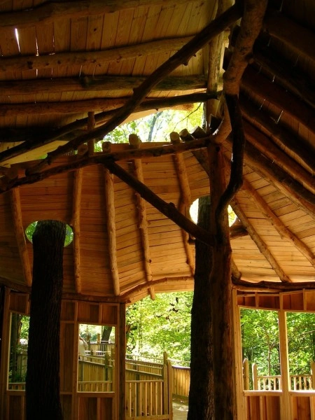 Everybody’s Treehouse, Mt. Airy Forest, Cincinnati.