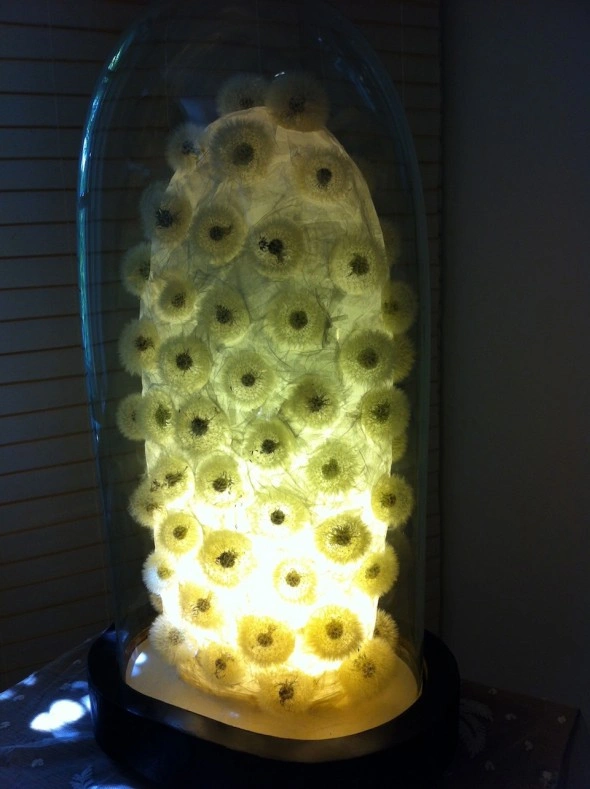 Lamp. OBACHT!, Haidhausen.