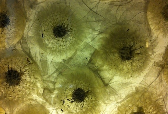Lamp, detail. OBACHT!, Haidhausen.