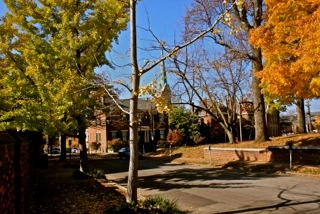 The Gratz Park Project, November 6, 2009, The Archive of Louis Zoellar Bickett