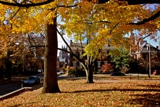 The Gratz Park Project, November 6, 2009, The Archive of Louis Zoellar Bickett