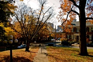 The Gratz Park Project, November 6, 2009, The Archive of Louis Zoellar Bickett
