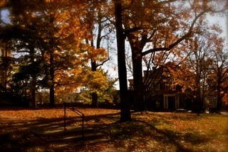 The Gratz Park Project, November 6, 2009, The Archive of Louis Zoellar Bickett